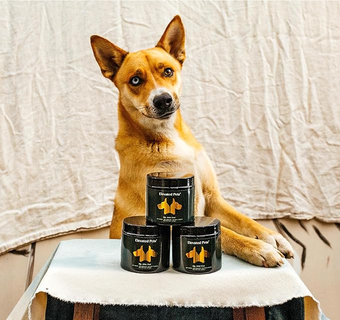 Ultra-Healthy Omega 3 Fish Oil Treats w/ MSM, Glucosamine, Chondroitin, EPA/DHA for Dogs: Elevated Pets Fish Oil, Turmeric & Joint Supplement + Allergy Chews - Ultimate Dog Vitamin Supplement