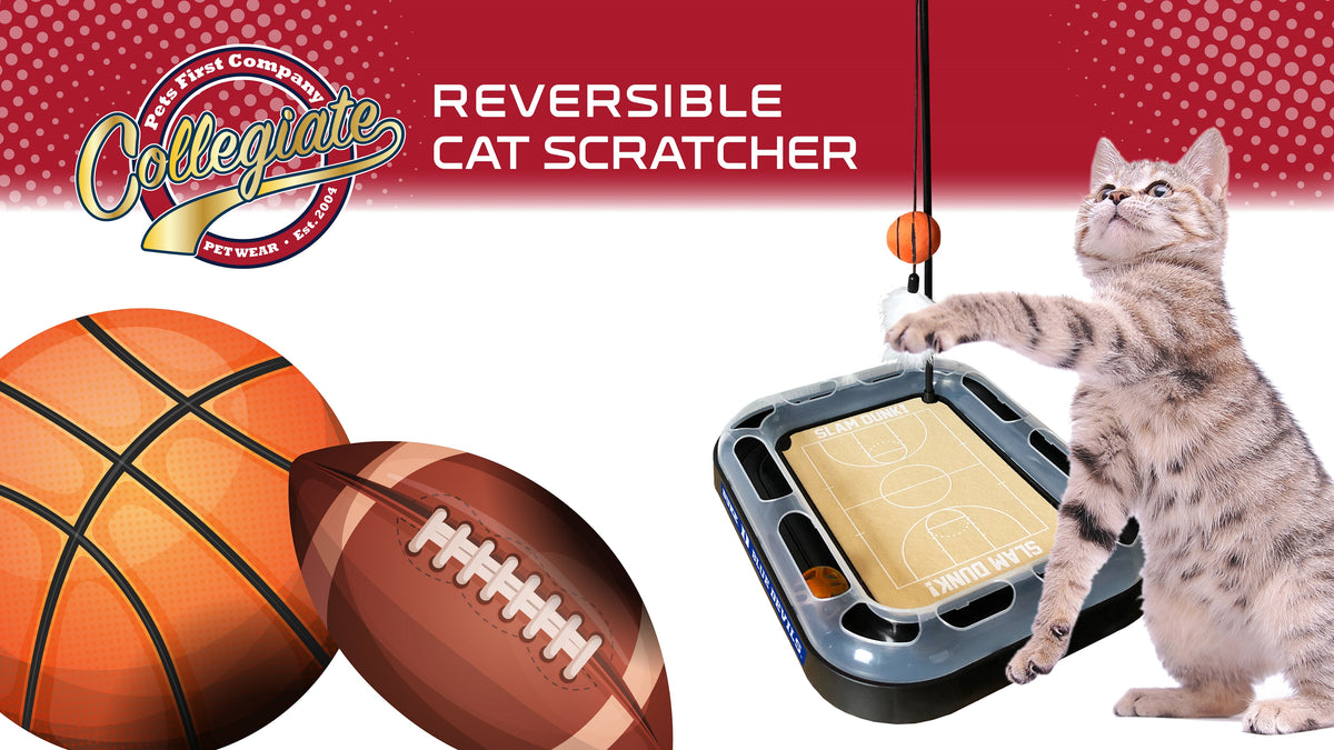 Cats Scratcher NCAA Duke University Football Field CAT Scratcher Toy with Catnip Filled Plush Football Toy & Feather Cat Toy Hanging, with Jingle Bell Interactive Ball Cat Chasing 5-in-1 Kitty Toy