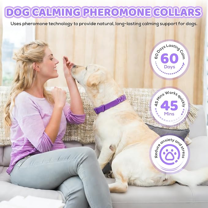 Purple pheromone calming collar for dogs – 60-day anxiety and stress relief training aid for small medium and large dogs