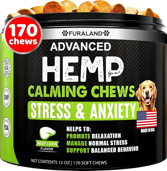 Best calming wellness supplements for dogs and cats 2026 anxiety relief guide
