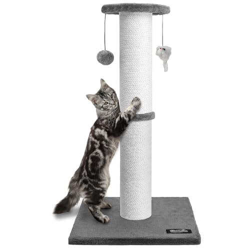 34-Inch Tall Cat Scratching Post for Large Cats, Gray - Image 2