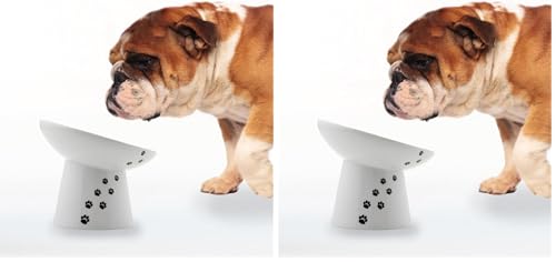 Necoichi Raised Dog Food Bowl, Elevated, for Dogs and Cats, Pets Feeding Feeder Non-Slip for Small Dogs Dishwasher and Microwave Safe, No.1 Seller in Japan! (Dog, Extra Wide Tilted) (Pack of 2)