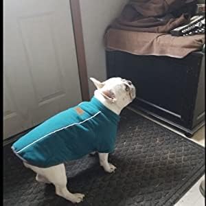 BoxDog Polar Fleece Warm Dog Jacket I Cold Weather Dog Coat | Small Dog Jackets (Small)