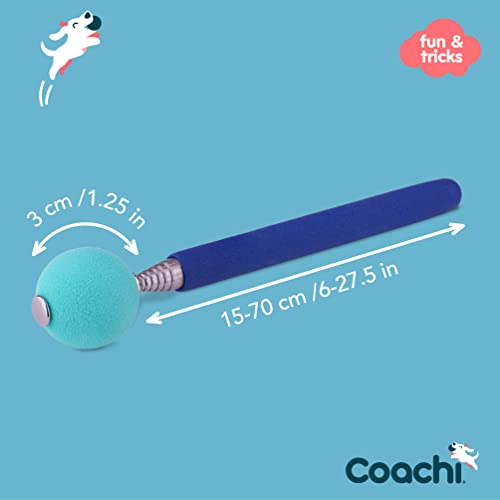 Company of Animals Coachi Target Stick, Telescopic D | Kitchen Essenti - Image 6