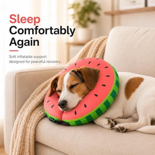 MIDOG Inflatable Dog Cone After Surgery, Donut Collar | Pet Essentials - Image 5