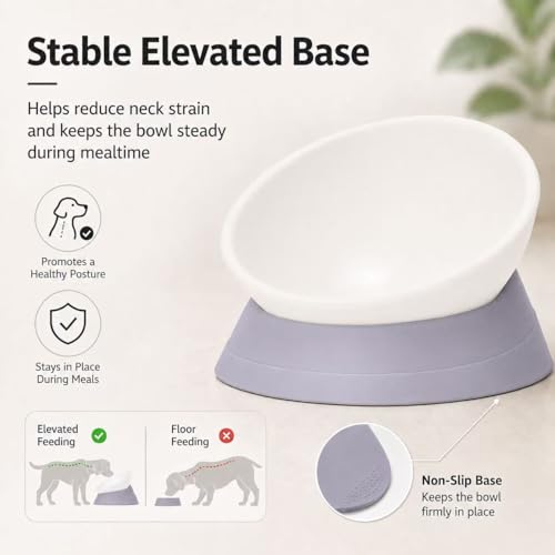 Tilted Angle Dog Bowls - Slanted Resin Dog Cat Food Bowl, Non-Slip Pet Feeder with Detachable Silicone Stand (Gray, L - 4 Cup)