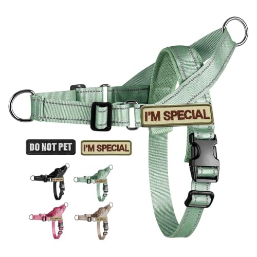 No Pull Dog Harness with Front Clip,Soft Padded, Sage Green,L - Image 2