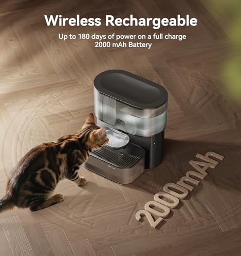 Wireless Cat Water Fountain No Filters, Wastewater Separation - Image 7
