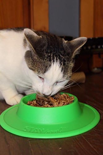 Pet Food and Water Bowl for Cats, Toy Breed Dogs, Bearded Dragons, Turtles, and Small Pets (3/4 Cup in Four Colors (Sky Blue)