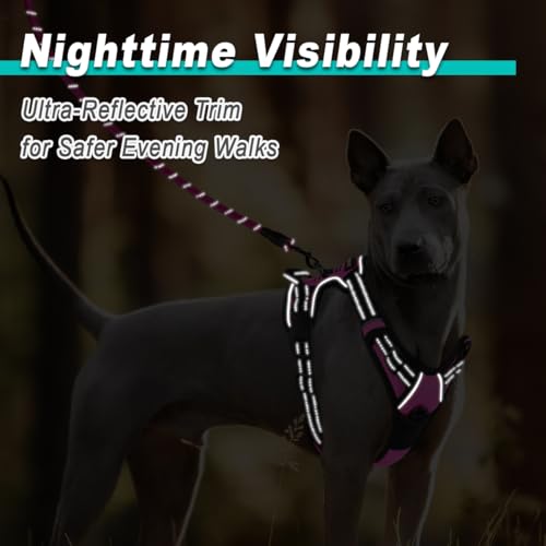BARKBAY Dog Harness for Large dog No Pull 2 leash Clips Dog Vest - Image 6