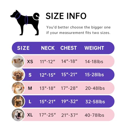 IVY&LANE No Pull Dog Harness for Small Dogs,Reflective Dog - Image 3