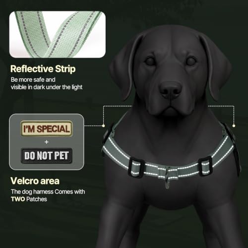No Pull Dog Harness with Front Clip,Soft Padded, Sage Green,L - Image 6
