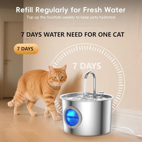 Cat Water Fountain Stainless Steel, Hygienic Drinking | Pet Essentials - Image 3
