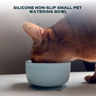 Cat Bowls with Suction Cup 400ml with Silicone Lid — Elevated Silicone Pet Dish with Non-Slip Bottom for Dry Food, Wet Food and Water — Silicone Water Bowl for Small Dog, Rabbit, Kittens (SoftGreen)
