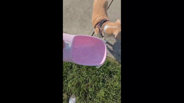 Dog Water Bottle Portable, 2in1 Round Dog Water Bowl | Travel Essentia - Image 8
