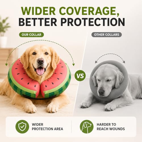 MIDOG Inflatable Dog Cone After Surgery, Donut Collar | Pet Essentials - Image 3