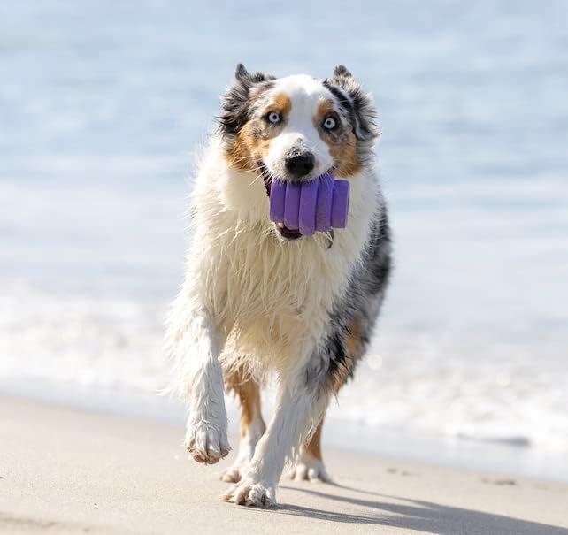 PROJECT HIVE ·PET COMPANY· - Calming Lavender Scented - Hive Chew Toy for Large Dogs - Dog Chew Toy for Large Breeds - Floats in Water - Durable and Tough - Made in The USA