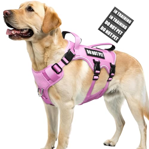 Escape Proof Dog Harness with Double Handle+4 Removable Patches - Image 2