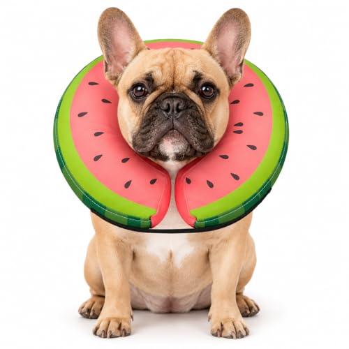 MIDOG Inflatable Dog Cone After Surgery, Donut Collar | Pet Essentials - Image 2