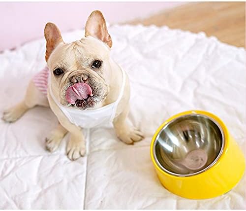 Slow Water Bowl for Dogs - Large Size Blue, 15 Degree Tilted Raised Pet Food Dish, Anti-Gulping Slow Feeder Water Bowl for Dogs