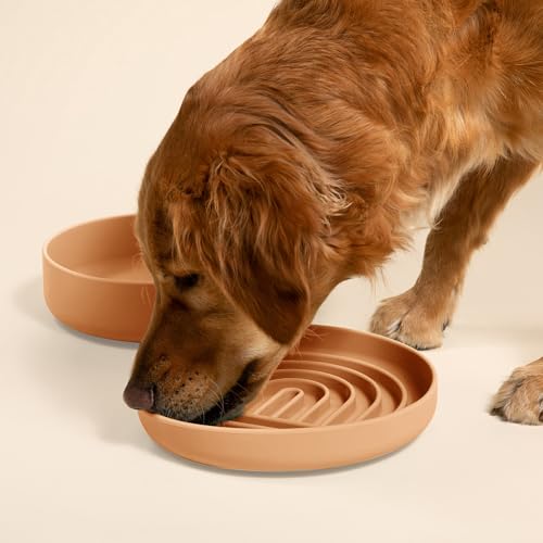Should We Go? Slow Feeder for Dogs & Puppies, The Slowdown Bowl Silicone Slow Eating, Lick Mat Design, Reduces Gulping, Fits 2.5 Cups, 9.5” Across x 1.5” Tall, Mealtime Challenge, Large-Terracotta