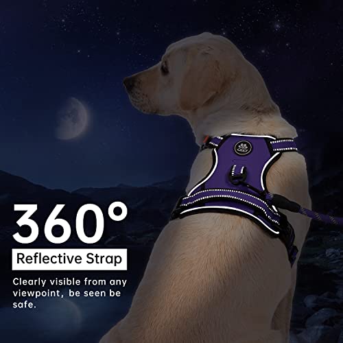 IVY&LANE No Pull Dog Harness for Small Dogs,Reflective Dog - Image 6