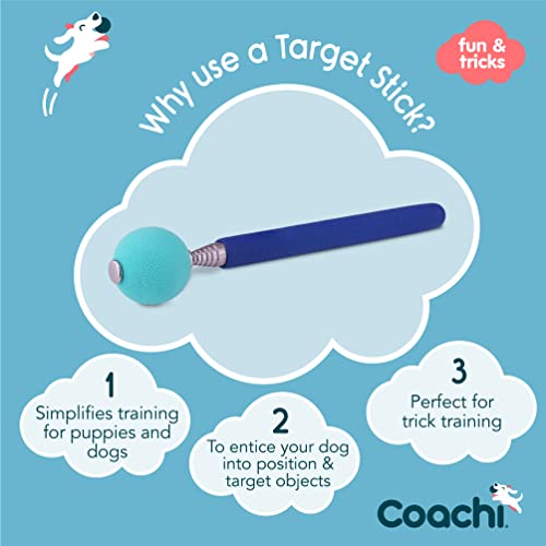 Company of Animals Coachi Target Stick, Telescopic D | Kitchen Essenti - Image 3