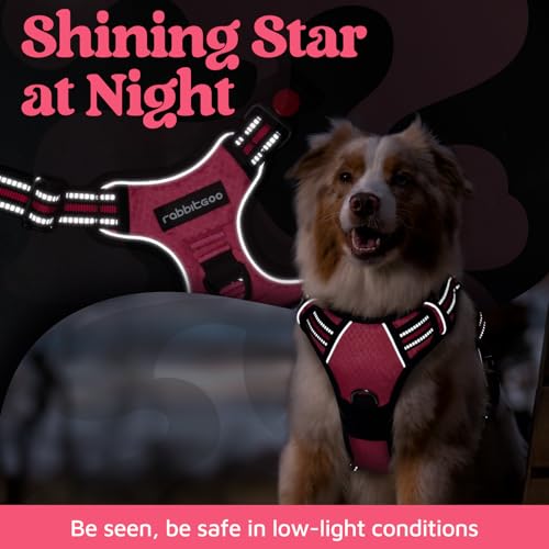 rabbitgoo Dog Harness for Large, No Pull 3 Buckles Easy On & Off - Image 7
