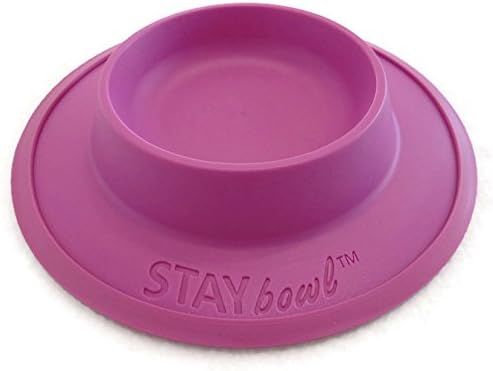 Pet Food and Water Bowl for Cats, Toy Breed Dogs, Bearded Dragons, Turtles, and Small Pets (3/4 Cup in Four Colors (Spring Green)