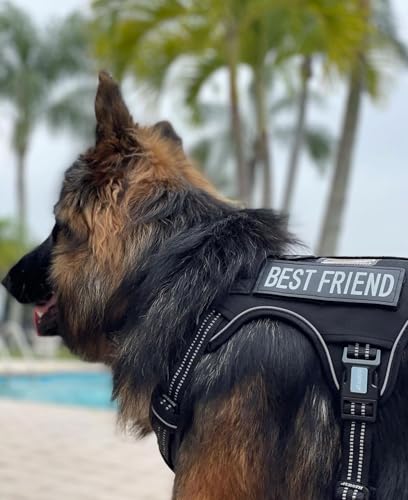 AUROTH Dog Harness for Large Dogs, No Pull Tactical Dog - Image 7