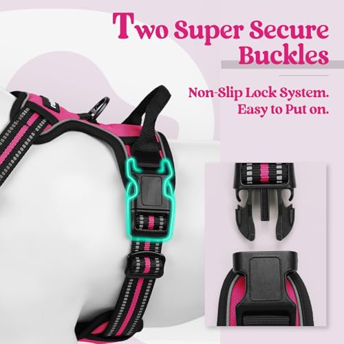rabbitgoo Dog Harness, No Pull Medium Sized with 2 Leash Clips - Image 4