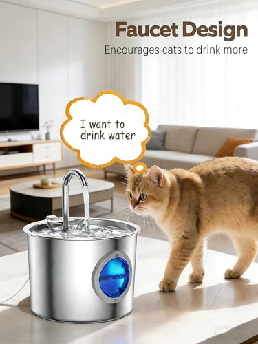 Cat Water Fountain Stainless Steel, Hygienic Drinking | Pet Essentials - Image 4