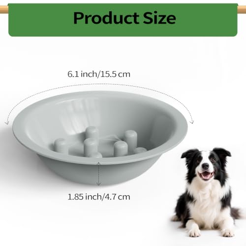 Slow Feeder Bowl for Automatic Dog Pet Feeder Pet Food - Image 8