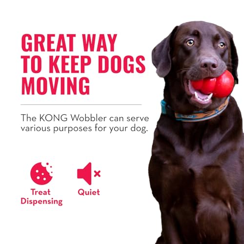 KONG Wobbler, Interactive Treat-Dispensing Dog Toy - Image 5