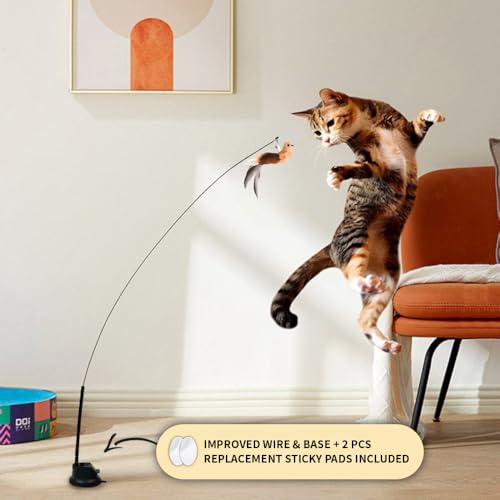 Leo's Paw Interactive Bird Simulation Cat Toy (Replacement Suction Cup Base)