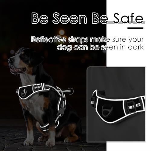 ADVENTUREMORE Dog Harness Small Sized Dog No Pull with QR - Image 6