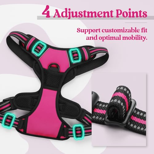rabbitgoo Dog Harness, No Pull Medium Sized with 2 Leash Clips - Image 5