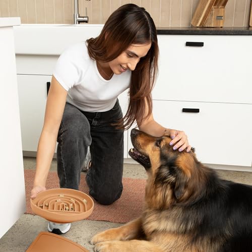 Should We Go? Slow Feeder for Dogs & Puppies, The Slowdown Bowl Silicone Slow Eating, Lick Mat Design, Reduces Gulping, Fits 2.5 Cups, 9.5” Across x 1.5” Tall, Mealtime Challenge, Large-Terracotta