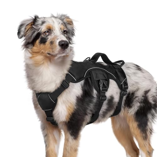 rabbitgoo Escape Proof Dog Harness for Medium, No Pull - Image 2