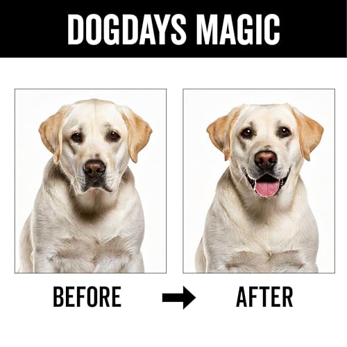 PRIDE AND GROOM DogDays Deodorizing Dog Spray | Long | Pet Essentials - Image 6