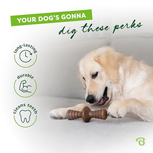 Benebone Zaggler Rolling Dog Chew Toy for Aggressive Chewers, Real Bacon, Made in USA, Small (Pack of 2)