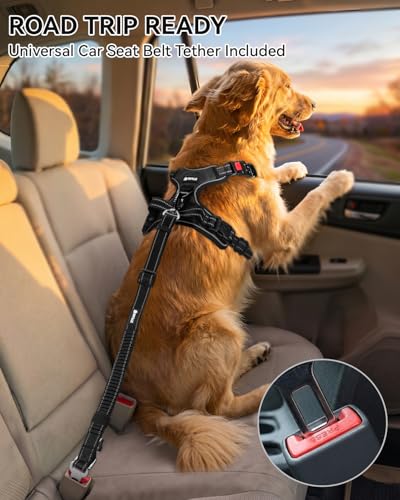 Joytale No Pull Dog Harness & Seat Belt, Easy On 3-Buckle, L, Black - Image 4