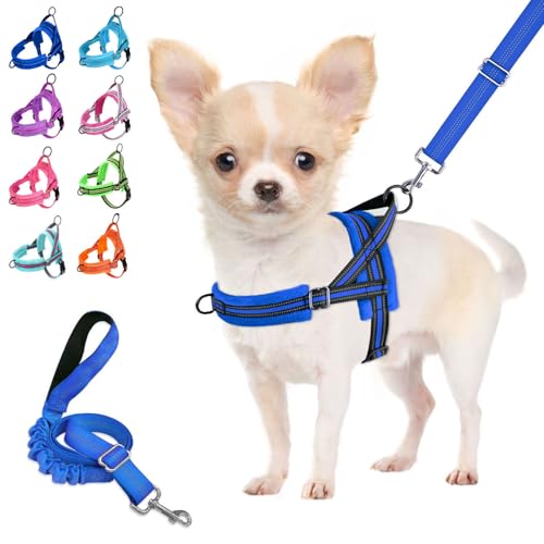 Lukovee Small Dog Harness and Leash Set, No Pull Soft Padded - Image 2