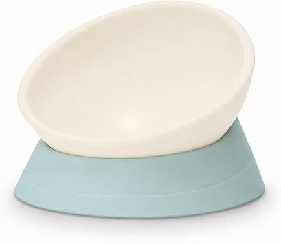 Tilted Angle Dog Bowls - Slanted Resin Dog Cat Food Bowl, Non-Slip Pet Feeder with Detachable Silicone Stand (Green, L - 4 Cup)
