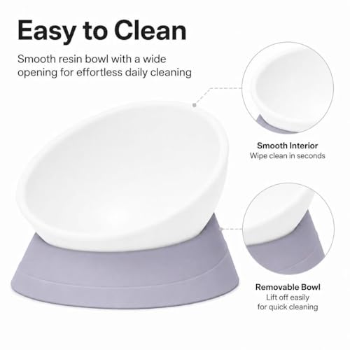 Tilted Angle Dog Bowls - Slanted Resin Dog Cat Food Bowl, Non-Slip Pet Feeder with Detachable Silicone Stand (Gray, L - 4 Cup)