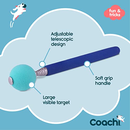 Company of Animals Coachi Target Stick, Telescopic D | Kitchen Essenti - Image 4