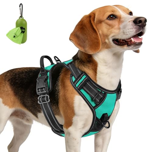 Joytale No Pull Dog Harness Medium Sized Dog, Front Clip, Teal - Image 2