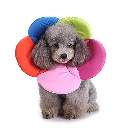 Dog Collar, Pet Cone E-Collar Flower Soft Elizabethan | Pet Essentials - Image 2