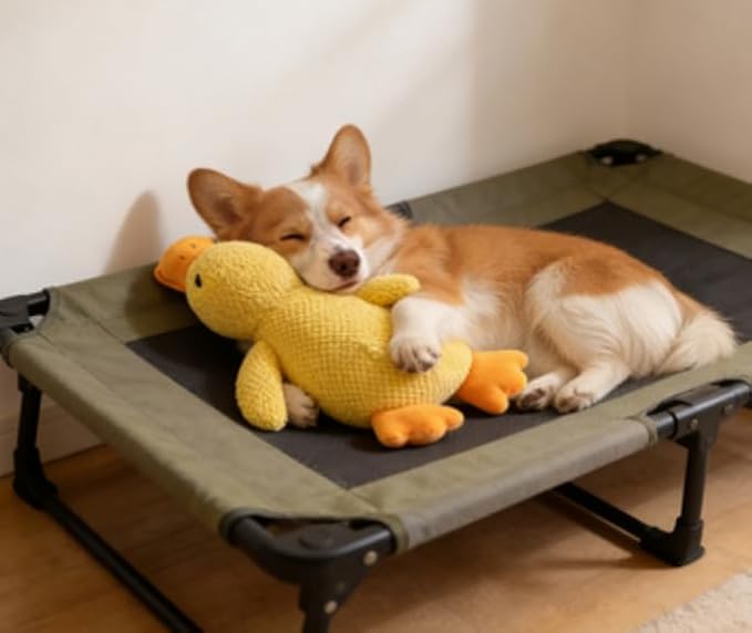 JINTONE Squeaky Plush Duck Dog Toy for Anxiety Relief, Durable Chew Duck Toy for Large Breeds & Puppies, Interactive Calming Duck Toy with Squeaker for Boredom Relief, Non-Toxic & Pet-Safe