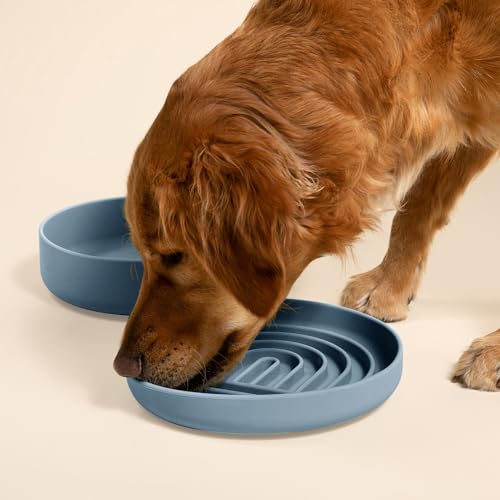 Should We Go? Slow Feeder for Dogs & Puppies, The Slowdown Bowl Silicone Slow Eating, Modern Lick Mat Design, Reduces Gulping, Fits 2.5 Cups, 9.5” Across x 1.5” Tall, Mealtime Challenge, Large-Ocean